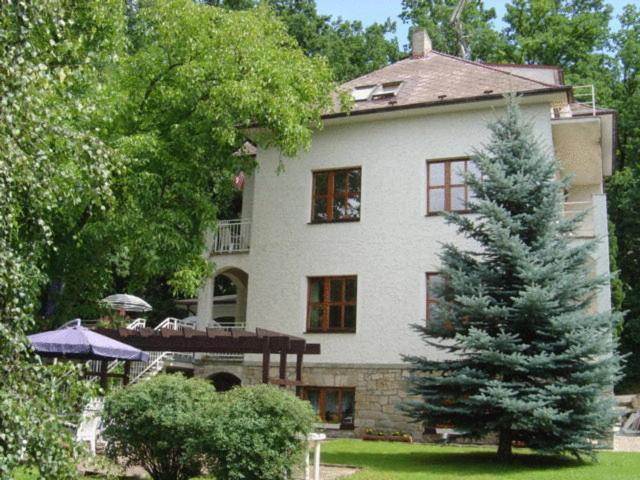 Hotel Villa Conti Писек Экстерьер фото